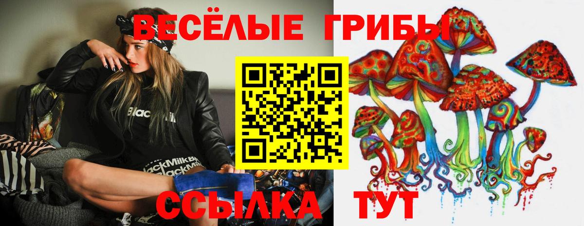 Псилоцибиновые грибы GOLDEN TEACHER Орёл